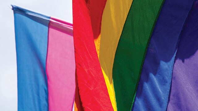 Celebrating Pride Month