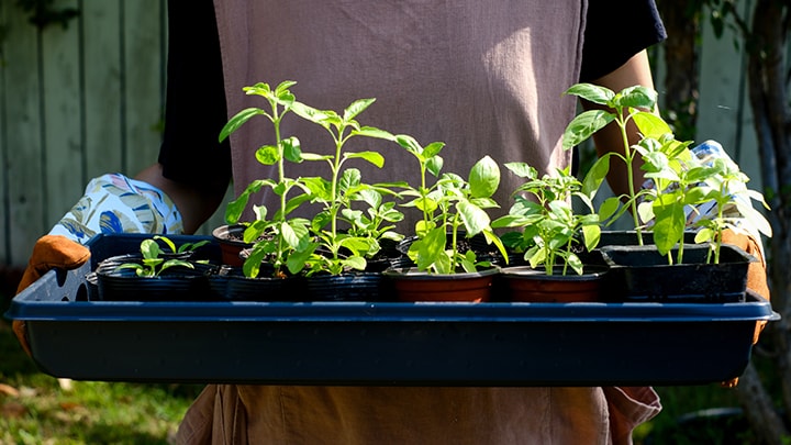 20年の耐久性を持つ追跡可能なトレイでプラスチック廃棄物ゼロを達成 