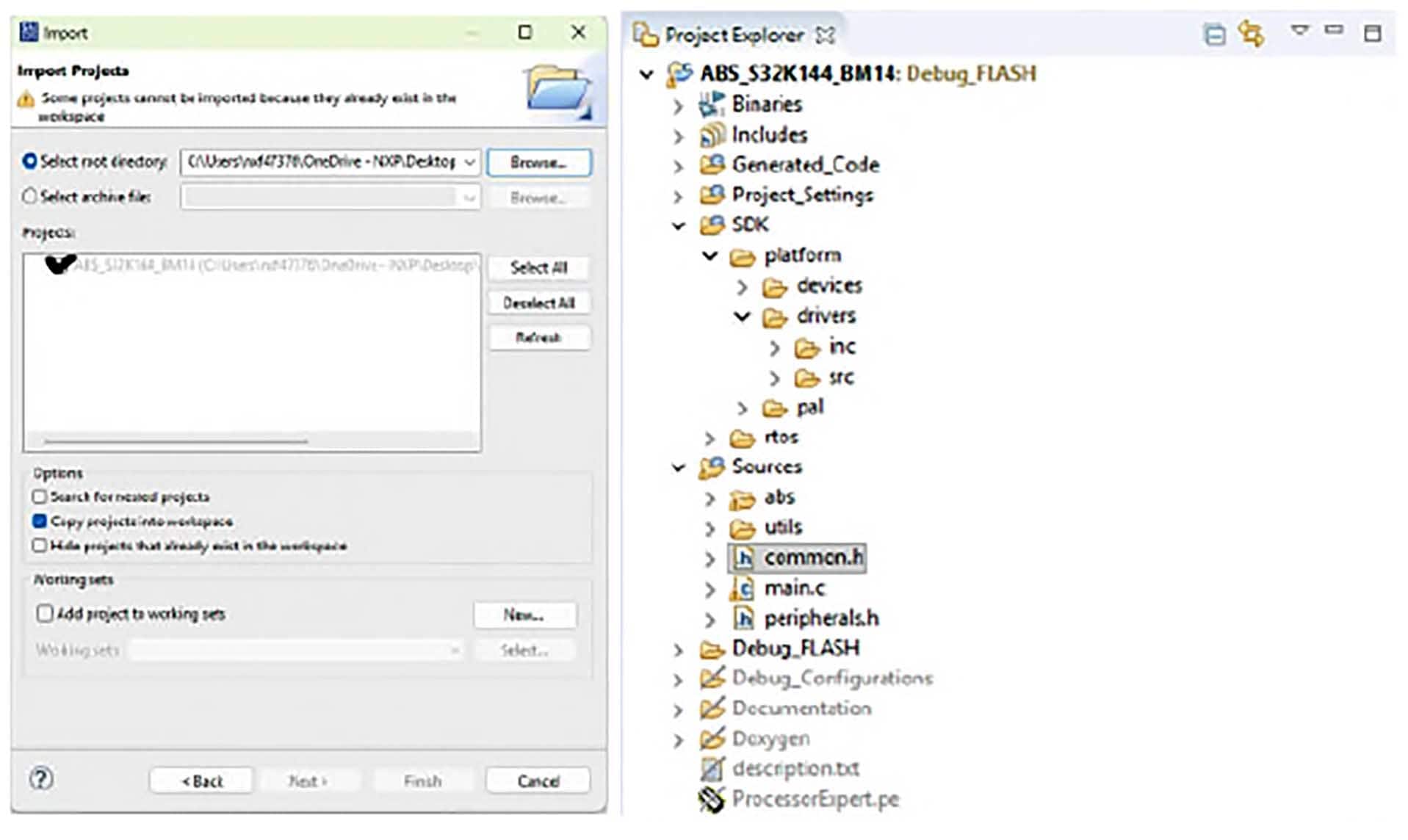 Figure 4. Importing an Example Project (c)